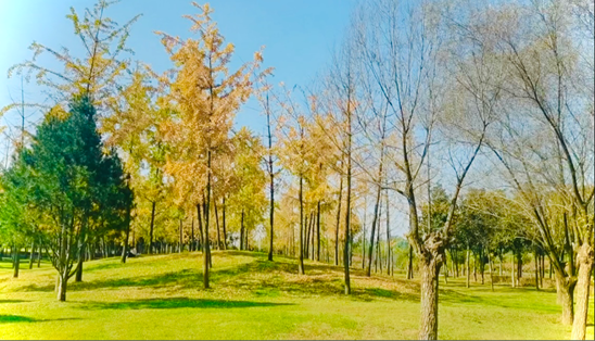 凝心聚力不言敗，篤行致遠贏未來---記廣勤電子洨河公園露營活動